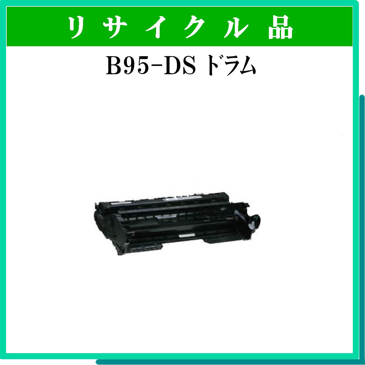 B95-DS